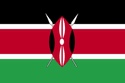 kenya-abortion-information flag