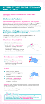 Ebifaananyi ebyogera ku otegera otya nti empeke zokujjamu embuto zakoze