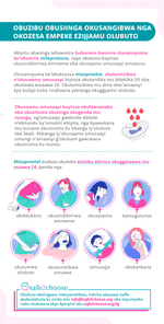 Olukalala lwo buzibu obusiinga okusangibwa mukujjamu embuto nga okozesa empeke za Mifepristone ne Misoprostol