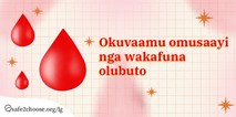 Okuvaamu omusaayi nga wakafuna olubuto