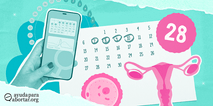 Ilustracion del seguimiento de la ovulacion con un calendario, aplicacion movil y utero mostrando un ciclo menstrual de 28 días.