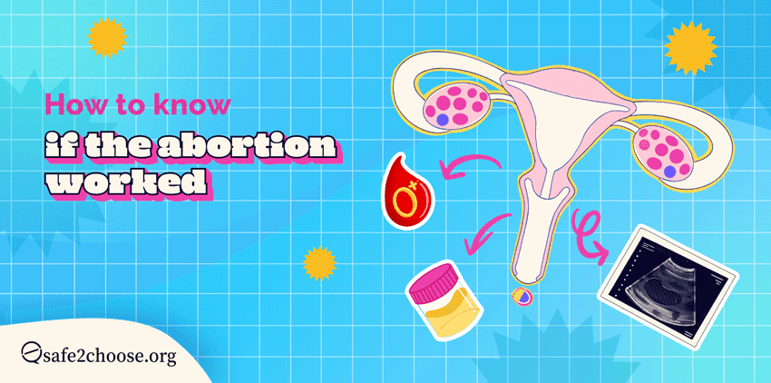 A post-abortion uterus depicting ways to confirm if an abortion worked with blood tests, urine tests and ultrasounds