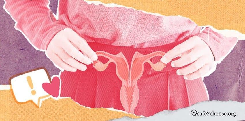 Ilustracion de una persona senalando un diagrama medico del utero en la parte baja del abdomen, simbolizando el utero doble y la salud reproductiva