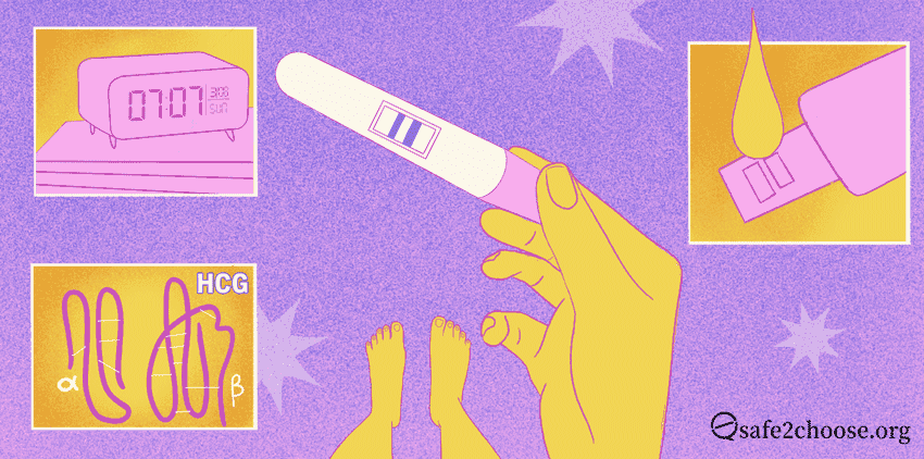 Reloj digital, resultado de prueba de embarazo, diagrama hormona hCG
